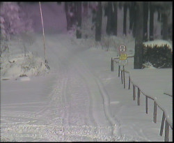 Nástup na běžecké tratě