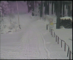 Nástup na běžecké tratě