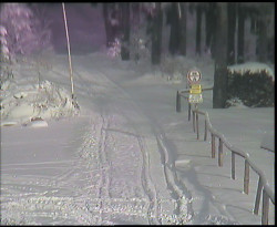 Nástup na běžecké tratě