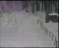 Nástup na běžecké tratě