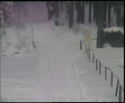 Nástup na běžecké tratě