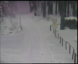 Nástup na běžecké tratě