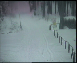 Nástup na běžecké tratě