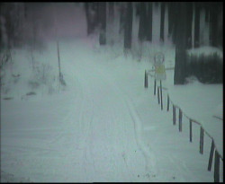 Nástup na běžecké tratě