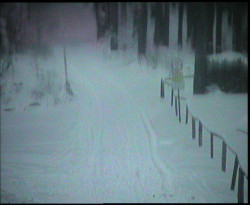 Nástup na běžecké tratě