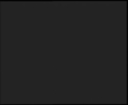 Nástup na běžecké tratě