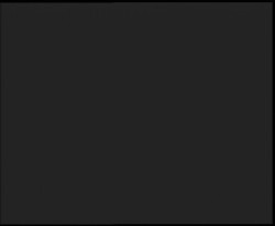 Nástup na běžecké tratě