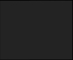 Nástup na běžecké tratě