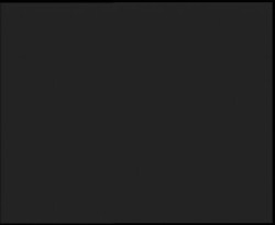 Nástup na běžecké tratě