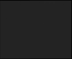 Nástup na běžecké tratě