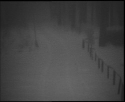 Nástup na běžecké tratě