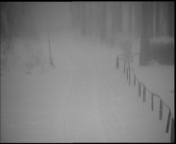 Nástup na běžecké tratě