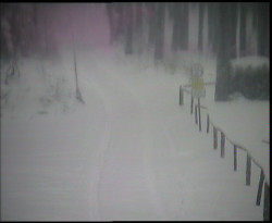 Nástup na běžecké tratě