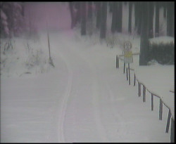 Nástup na běžecké tratě