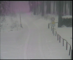 Nástup na běžecké tratě