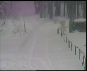 SkiAreál - Horský hotel Vsacký Cáb - Nástup na běžecké tratě - 13.1.2026 v 11:30 SkiAreál - Horský hotel Vsacký Cáb - Nástup na běžecké tratě - 13.1.2026 v 11:30