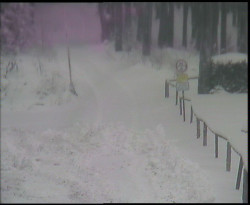 Nástup na běžecké tratě