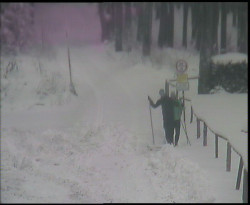 Nástup na běžecké tratě