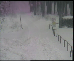 Nástup na běžecké tratě