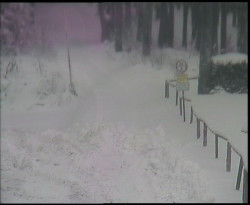 Nástup na běžecké tratě