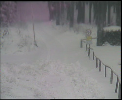 Nástup na běžecké tratě