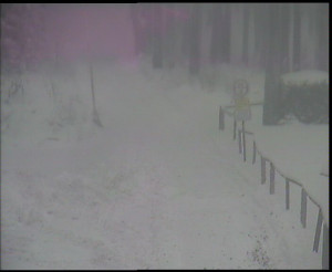 SkiAreál - Horský hotel Vsacký Cáb - Nástup na běžecké tratě - 13.1.2026 v 15:30 SkiAreál - Horský hotel Vsacký Cáb - Nástup na běžecké tratě - 13.1.2026 v 15:30