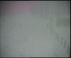 Nástup na běžecké tratě