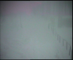 Nástup na běžecké tratě