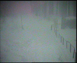 Nástup na běžecké tratě