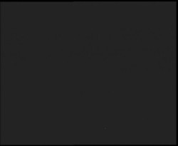 Nástup na běžecké tratě