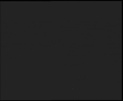 Nástup na běžecké tratě