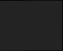 Nástup na běžecké tratě