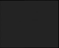 Nástup na běžecké tratě