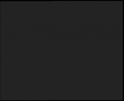 Nástup na běžecké tratě