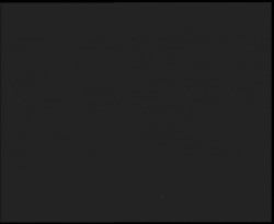 Nástup na běžecké tratě