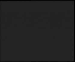 Nástup na běžecké tratě