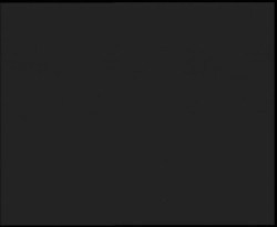 Nástup na běžecké tratě