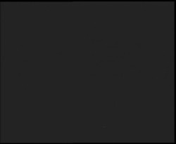 Nástup na běžecké tratě