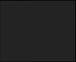 Nástup na běžecké tratě