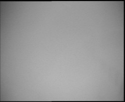 Nástup na běžecké tratě