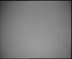 Nástup na běžecké tratě