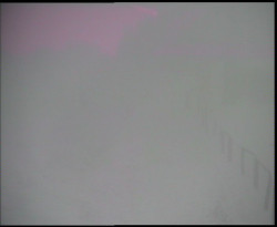 Nástup na běžecké tratě