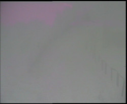 Nástup na běžecké tratě