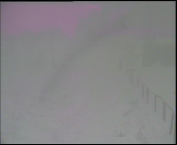 Nástup na běžecké tratě