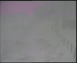 Nástup na běžecké tratě