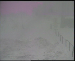 Nástup na běžecké tratě