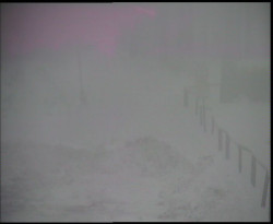 Nástup na běžecké tratě