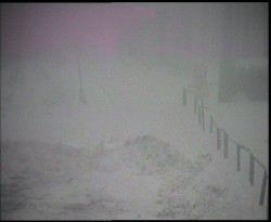 Nástup na běžecké tratě