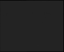 Nástup na běžecké tratě