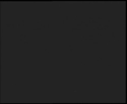 Nástup na běžecké tratě